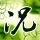 半斤八两